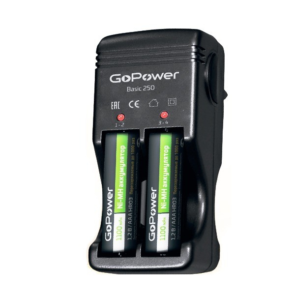 Зарядное устройство аккумуляторов GoPower Basic 25 - Pic n 297880