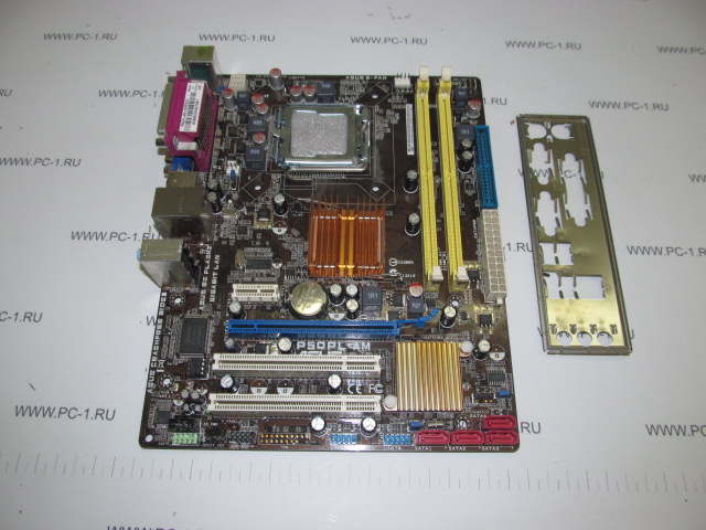 Материнская плата MB ASUS P5QPL-AM /S775 /2xPCI /PCI-E x16 /PCI-E x1 /4xSATA /2xDDRII /4xUSB /SVGA /LPT /COM /Sound /LAN /mATX /Заглушка