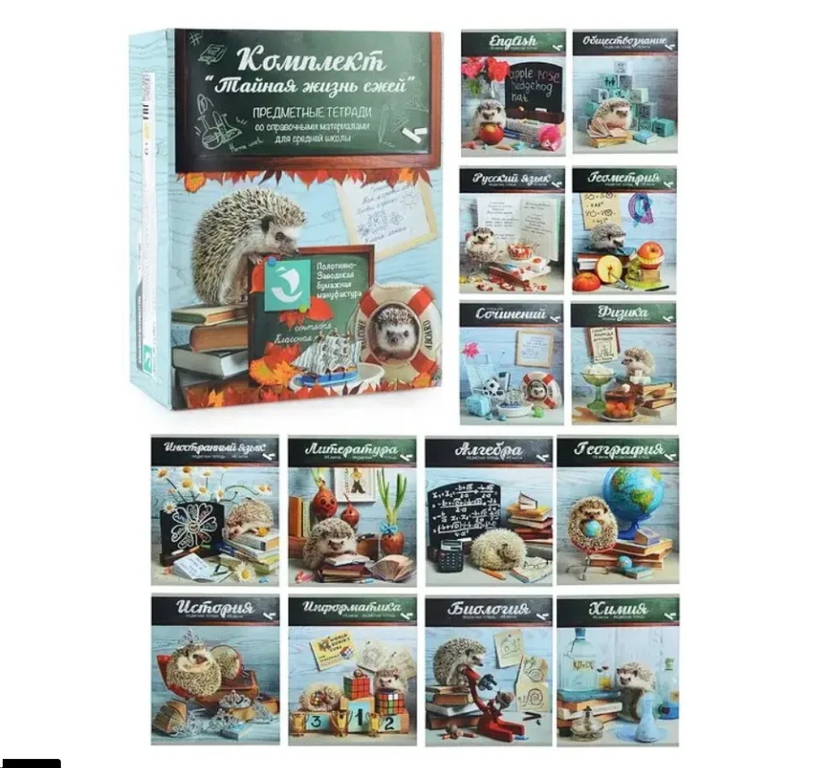 Набор тетрадей для Школьника 48л, 14 шт - Pic n 302638