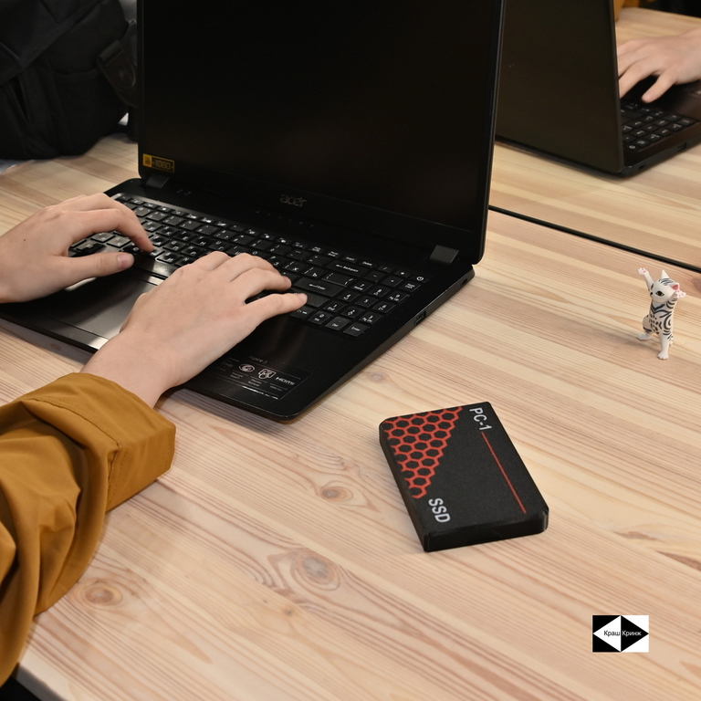 1TB SSD USB 3.0 Type-C Внешний жесткий диск 2.5 дюйма. Быстрый, подходит для Игр. Воткнул в Смартфон, Консоль, Ноутбук, ПК работает! Ударопрочный - Pic n 311044