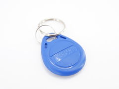 RFID ключ брелок 125KHz EM4100  - Pic n 297963