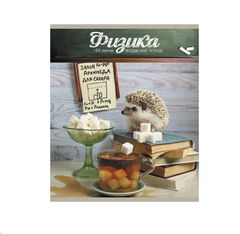 Набор тетрадей для Школьника 48л, 14 шт - Pic n 302638