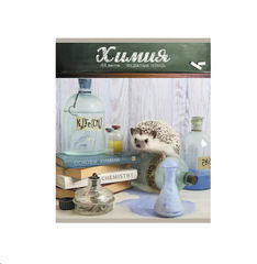 Набор тетрадей для Школьника 48л, 14 шт - Pic n 302638