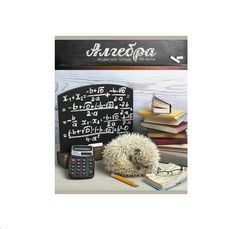 Набор тетрадей для Школьника 48л, 14 шт - Pic n 302638