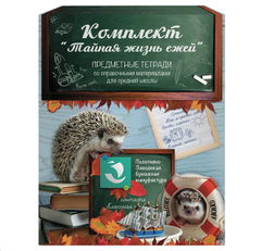 Набор тетрадей для Школьника 48л, 14 шт - Pic n 302638