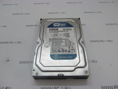 Жесткий диск HDD IDE 250Gb WD Blue
